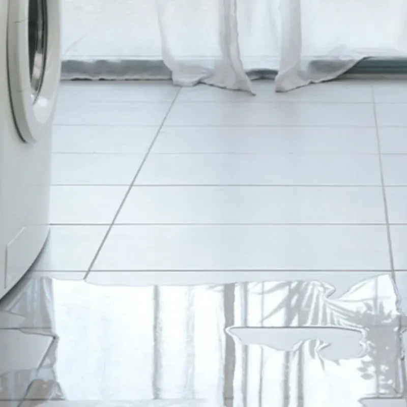 Appliance Leak Cleanup in Lanark, IL