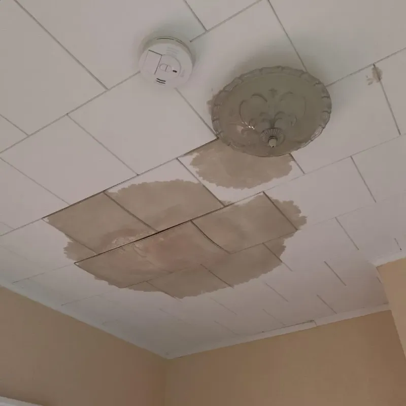 Ceiling Water Damage Repair in Lanark, IL