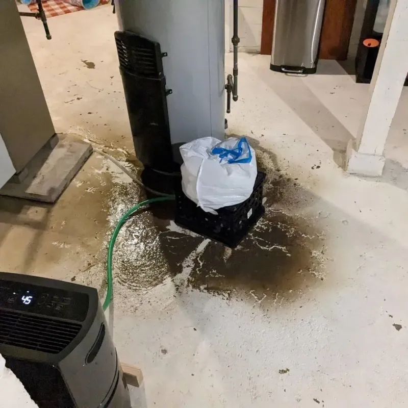 Sewage Backup Cleanup Service in Lanark, IL